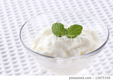 Yogurt  13875330