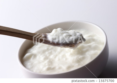優格  13875700