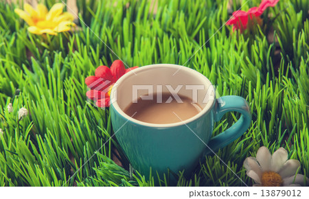 Cup of coffee on green grass. 13879012