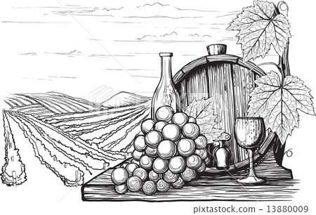 Winemaking illustration 13880009