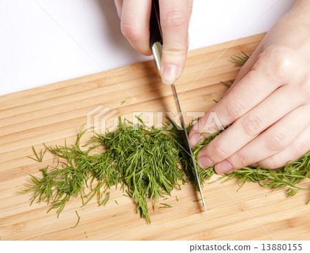 Female cutting dill 13880155