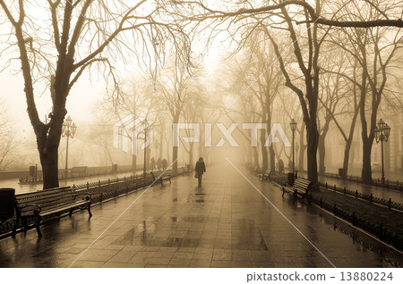 Fog alley and people. Photo in old yellow style. 13880224