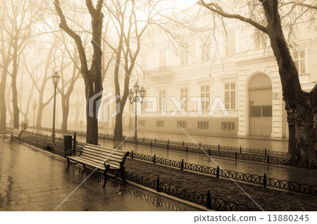 Fog alley and people. Photo in old yellow style. Fog alley and people. Photo in old yellow style. 13880245