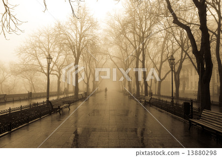 Fog alley and people. Photo in old yellow style. 13880298