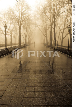 Fog alley and people. Photo in old yellow style. 13880300