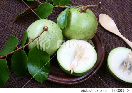 Vietnam farm product, milk fruit, star apple 13880920