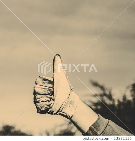 hand in glove hand in glove 13881135