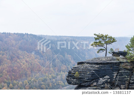 belveder view in autumn belveder view in autumn 13881137