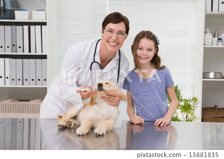 Smiling vet examining a dog with its owner 13881835