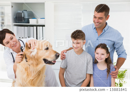 Smiling vet examining a dog with its owners 13881841