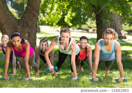 Fitness group planking in park 13881903