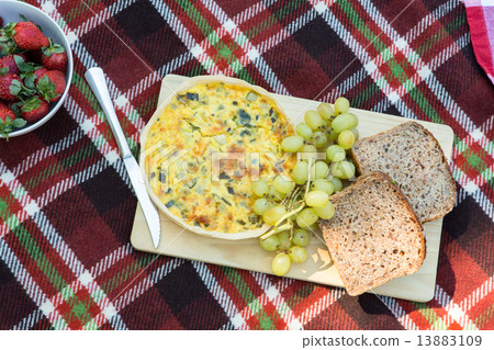 Overhead of lunch on picnic blanket 13883109