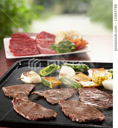 Grilled meat barbecue on a fine day 13883786