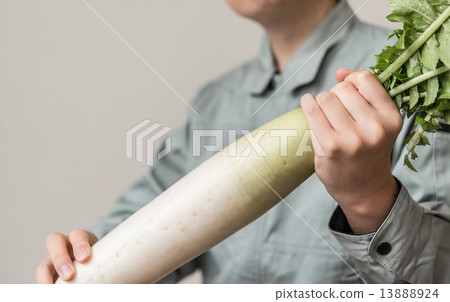 Working clothes men 13888924