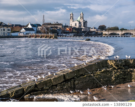Seagulls over river ,Athlone dam in background 13890129