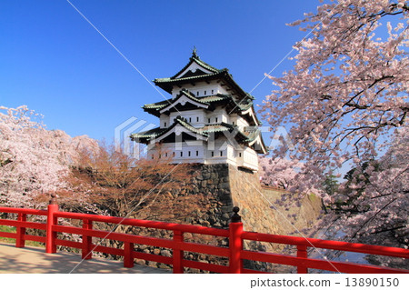 晴朗的天氣，弘前公園和櫻花 13890150