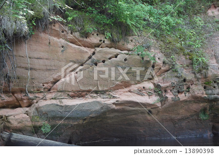 Birds nest in mountains Birds nest in mountains 13890398