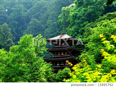 Hase-dera寺的風景 Hase-dera寺的風景 13895792