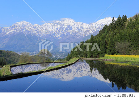 Mayumi settlement in May 13895935