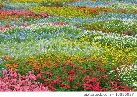 春天的沙龍 春天的沙龍 13896057