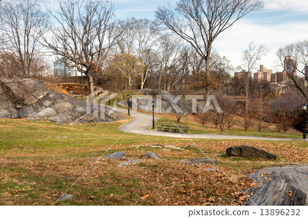 Central Park Winter - NYC 13896232