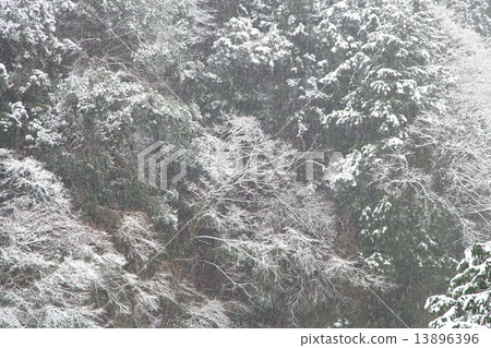 Hatono巢谷的雪場面 Hatono巢谷的雪場面 13896396