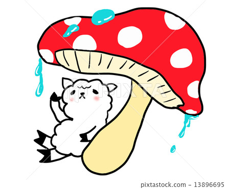 羊駝庇護所 13896695