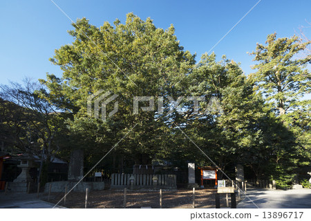 Shingu Kumano Hayatake Taisha 13896717