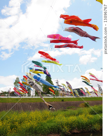 游泳在大正河濱公園天空的鯉魚飄帶在大津市Settsu市 游泳在大正河濱公園天空的鯉魚飄帶在大津市Settsu市 13896767