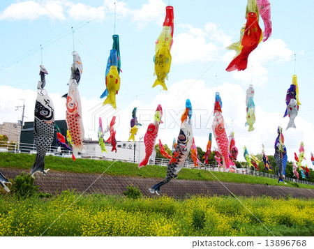 游泳在大正河濱公園天空的鯉魚飄帶在大津市Settsu市 游泳在大正河濱公園天空的鯉魚飄帶在大津市Settsu市 13896768