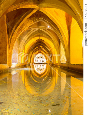 Royal Alcazar of Seville 13897023