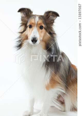 高中•9個月•女 13897087