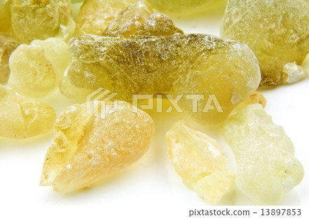 Olibanum, Boswellia serrata 13897853