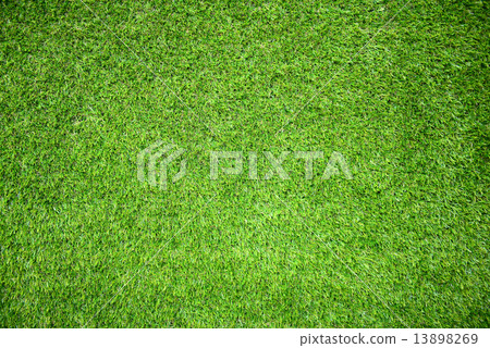 grass field 13898269