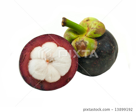 mangosteen isolated. mangosteen isolated. 13899192