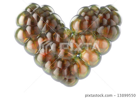 bubbles in the form of heart on a white background 13899550