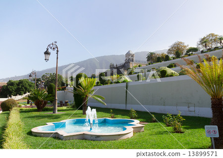 Beautiful tropical botanical gardens in La Orotava town, Tenerife, Beautiful tropical botanical gardens in La Orotava town, Tenerife, 13899571