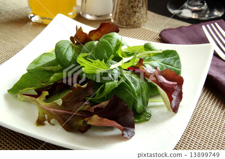 Salad vegetarian dish appetizer 13899749
