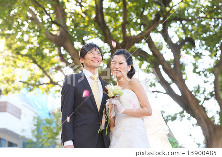 Flower shower 13900485