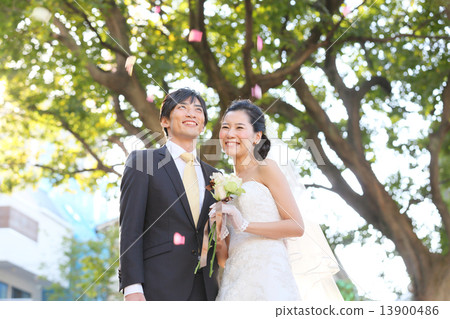 Flower shower 13900486