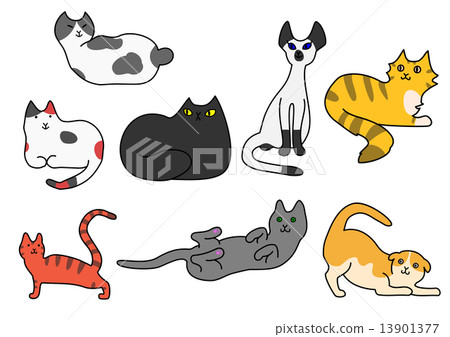 Various poses of cats Various poses of cats 13901377