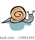 Snail 13901434
