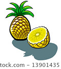 Pineapple and Slice 13901435