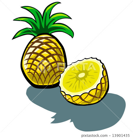 Pineapple and Slice 13901435