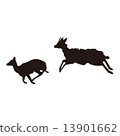 Deer deer animals 13901662