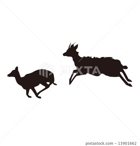 Deer deer animals 13901662