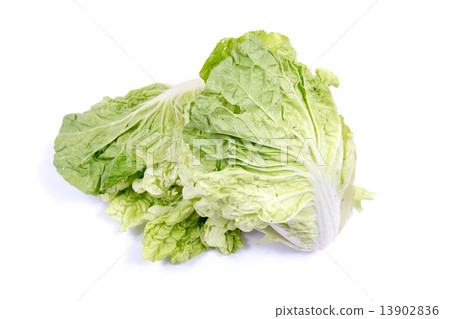 Lettuce isolated on a white background 13902836