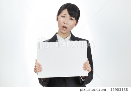 Business woman 13903188