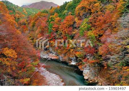 Autumn leaves valley Autumn leaves valley 13903497