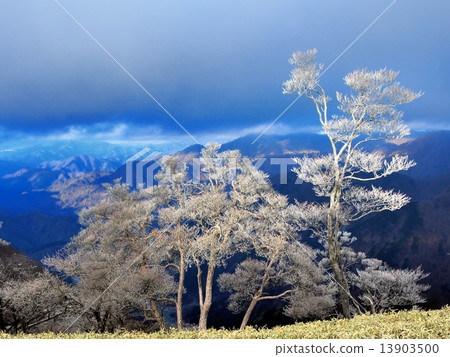 The shining ice of the morning sun The shining ice of the morning sun 13903500